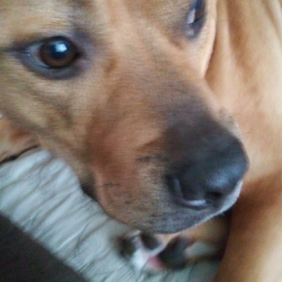 sammytheloserr